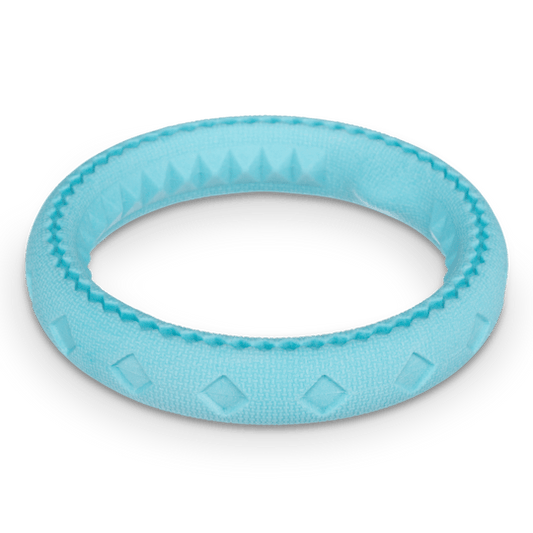 Totally Pooched Chew and Tug Ring Teal Toy for Dogs